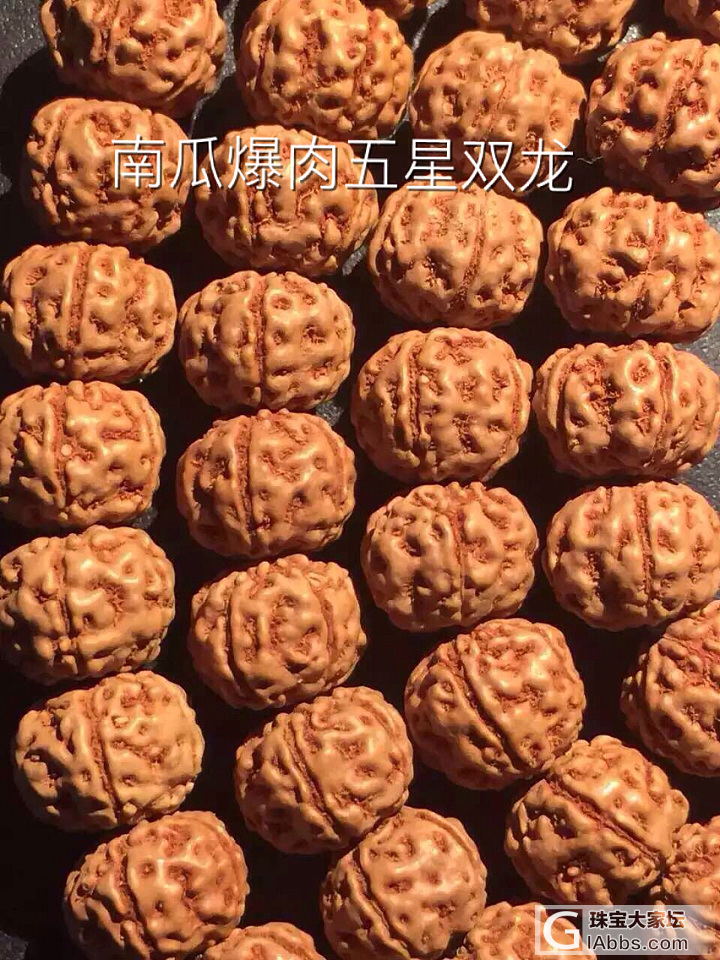 不忘初心，再次发帖提醒，金刚纹路辨认_菩提子