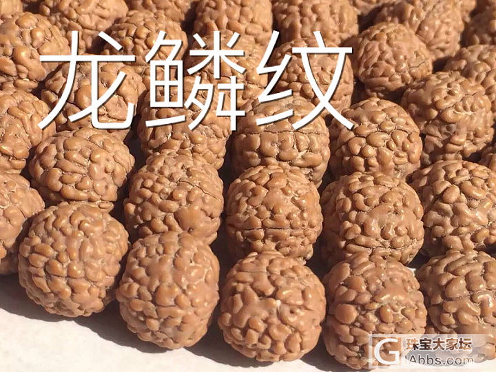 不忘初心，再次发帖提醒，金刚纹路辨认_菩提子