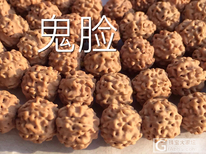 不忘初心，再次发帖提醒，金刚纹路辨认_菩提子
