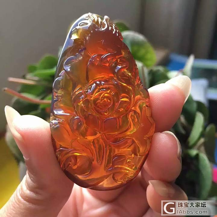 金琮料子缅甸琥珀_琥珀