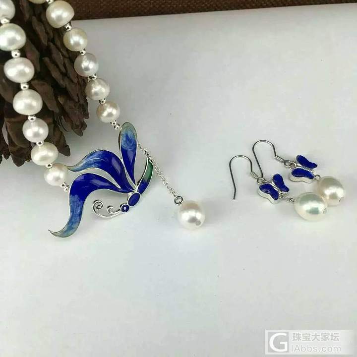 蝴蝶鉴赏_珍珠