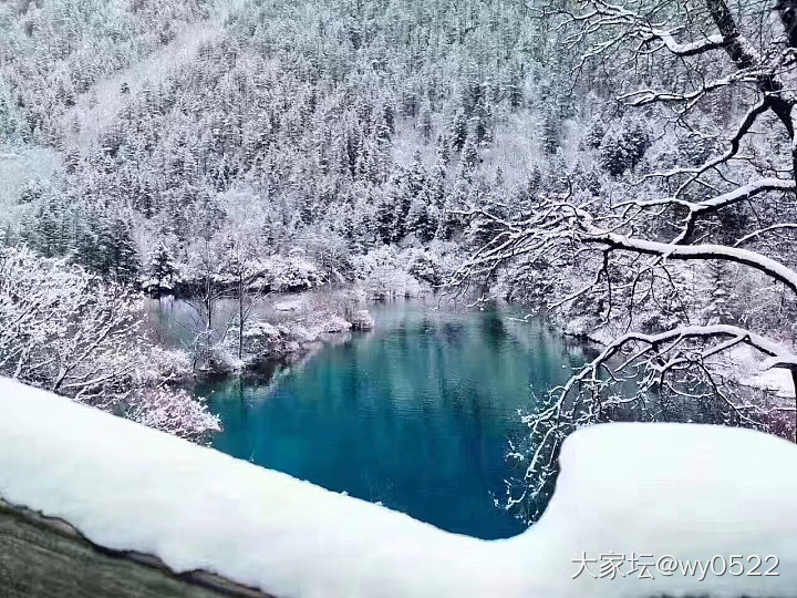 九寨沟的春天_闲聊四川摄影旅游