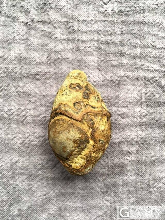 天然金钱石九眼天珠寻结缘_玛瑙观赏石