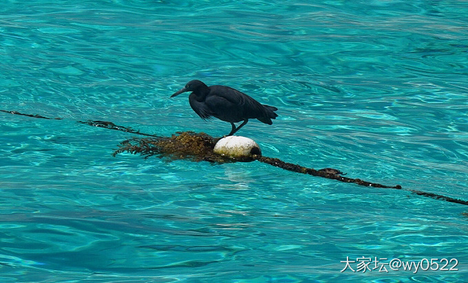我的51号无敌海景房_旅游