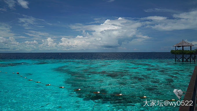 我的51号无敌海景房_旅游