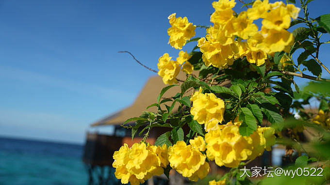 我的51号无敌海景房_旅游