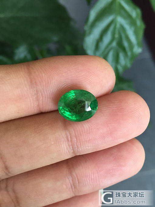 切了一颗6克拉的沙弗来！给大家欣赏一下！_刻面宝石沙弗莱