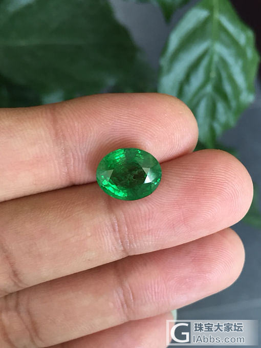 切了一颗6克拉的沙弗来！给大家欣赏一下！_刻面宝石沙弗莱