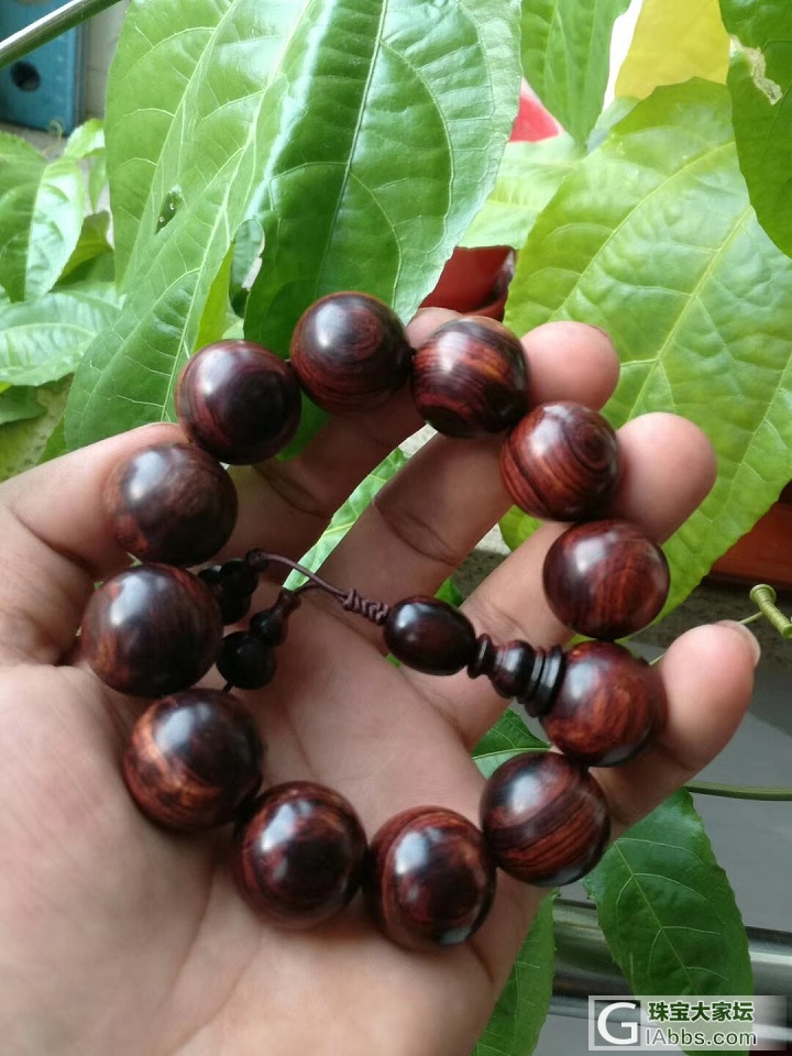 海黄2.0_海南黄花梨珠串