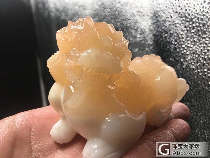 砗磲工艺品_砗磲