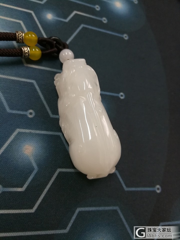 砗磲挂件有了解的吗？求解_挂件砗磲