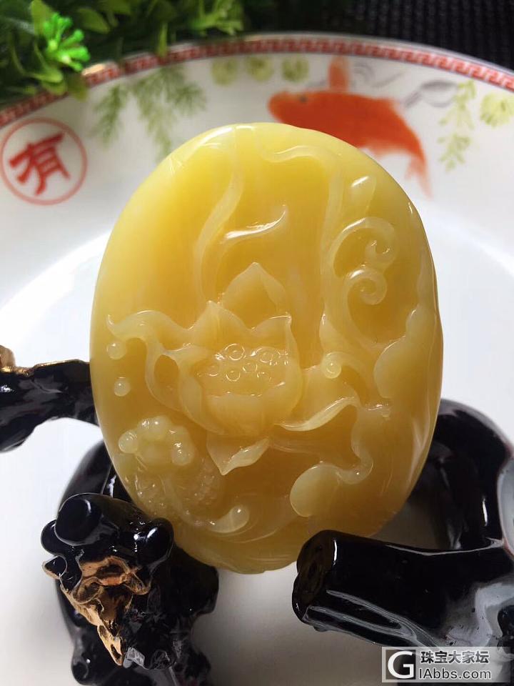极品血砗磲_砗磲