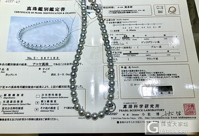 大大小小各种尺寸的【真多麻】～_海水珍珠项链珍珠