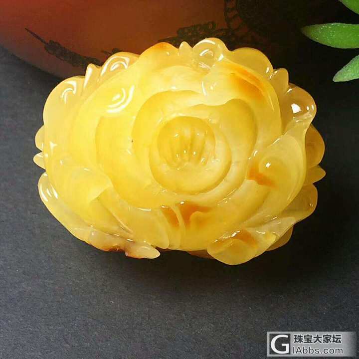 俏色黄牡丹欣赏_花件琥珀蜜蜡