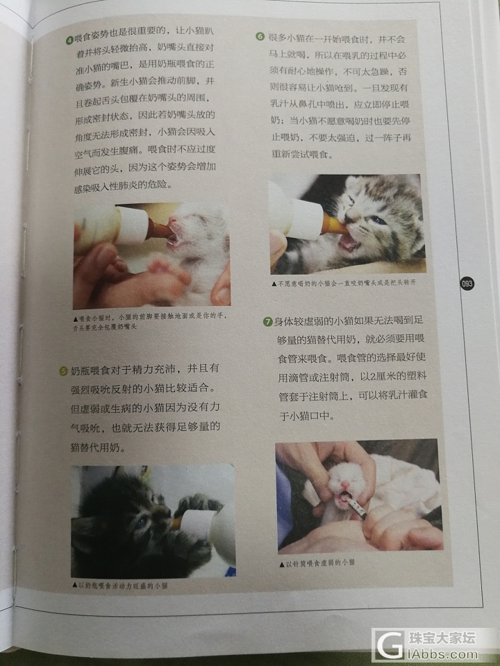 又有小奶猫 怎么办 才一天大 养不活的呀_猫