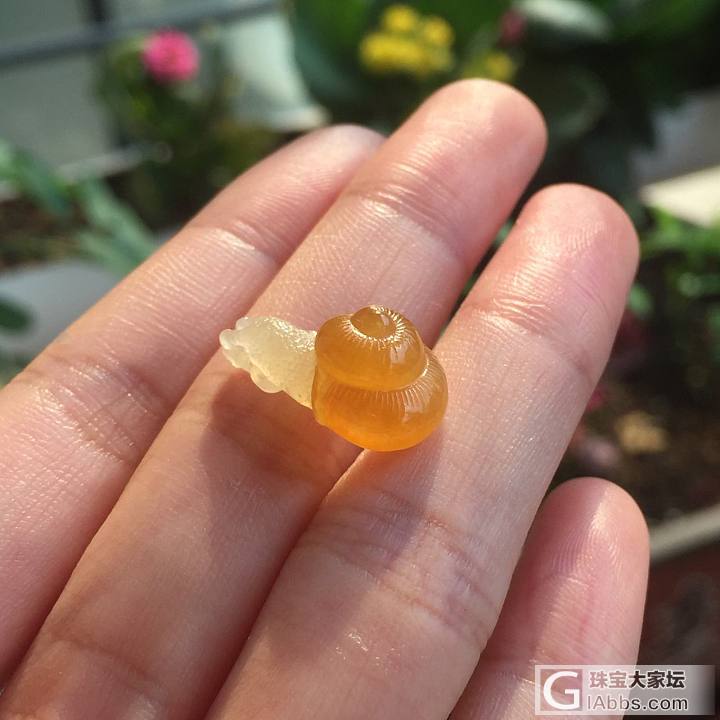 大渣壕，翡徒又回来了！_挂饰手饰翡翠