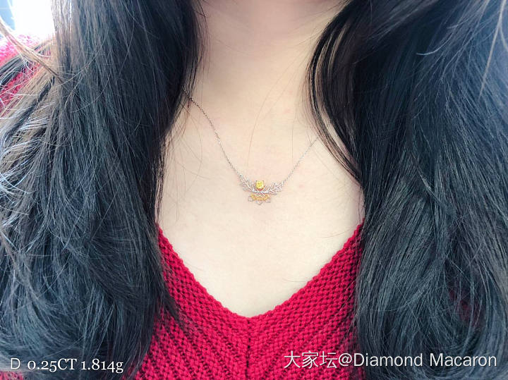 秘密花园·设计师系列项链_设计钻石
