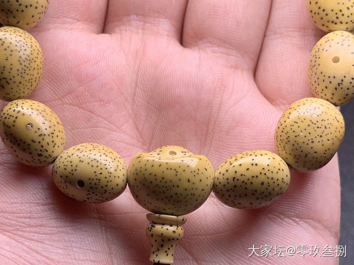 纪念2019第一次出手——高油密随形星月手串_珠串菩提子