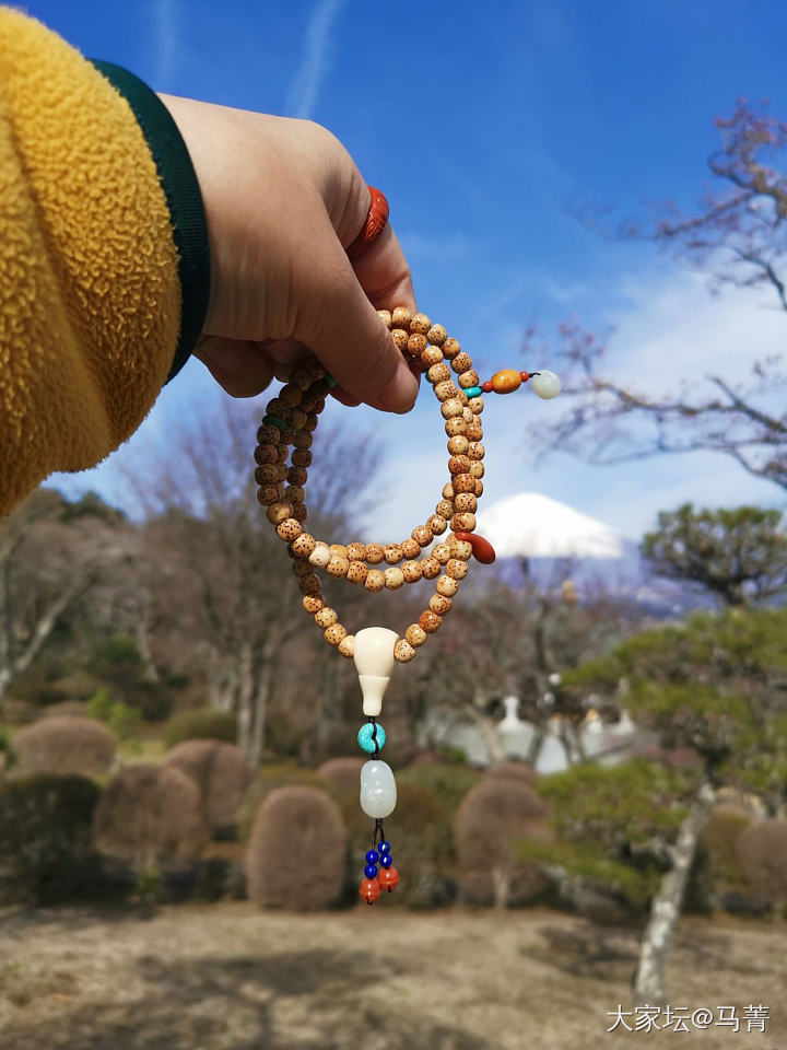 富士山下～_文玩珠串菩提子青金石