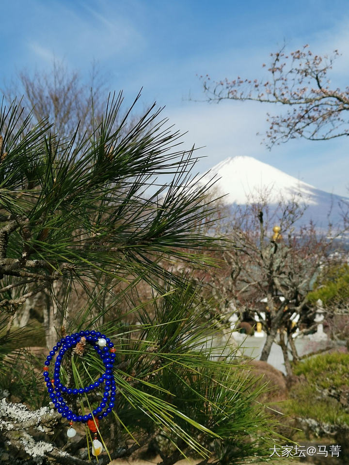 富士山下～_文玩珠串菩提子青金石