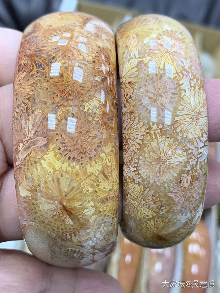 珊瑚玉的奇特色彩～世界唯一會開花的玉石_珊瑚玉