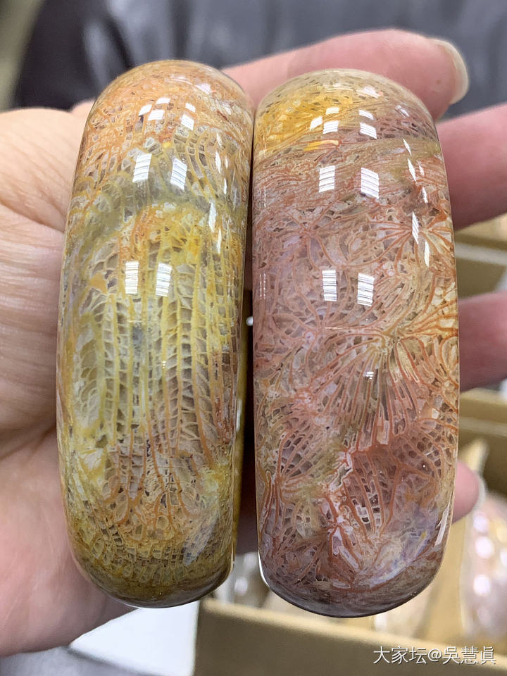 珊瑚玉的奇特色彩～世界唯一會開花的玉石_珊瑚玉