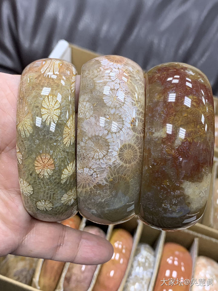 珊瑚玉的奇特色彩～世界唯一會開花的玉石_珊瑚玉