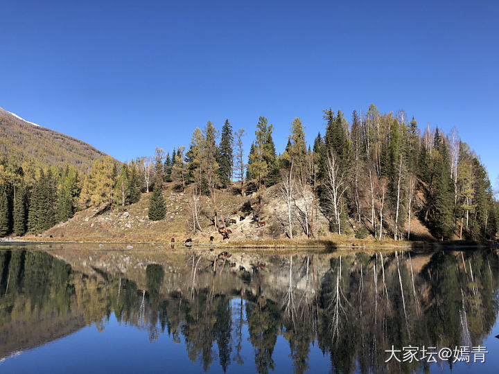 十一新疆游的一些照片_新疆旅游