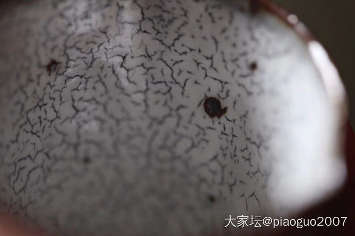 一个不知名工作室的柴烧杯子_茶具陶瓷