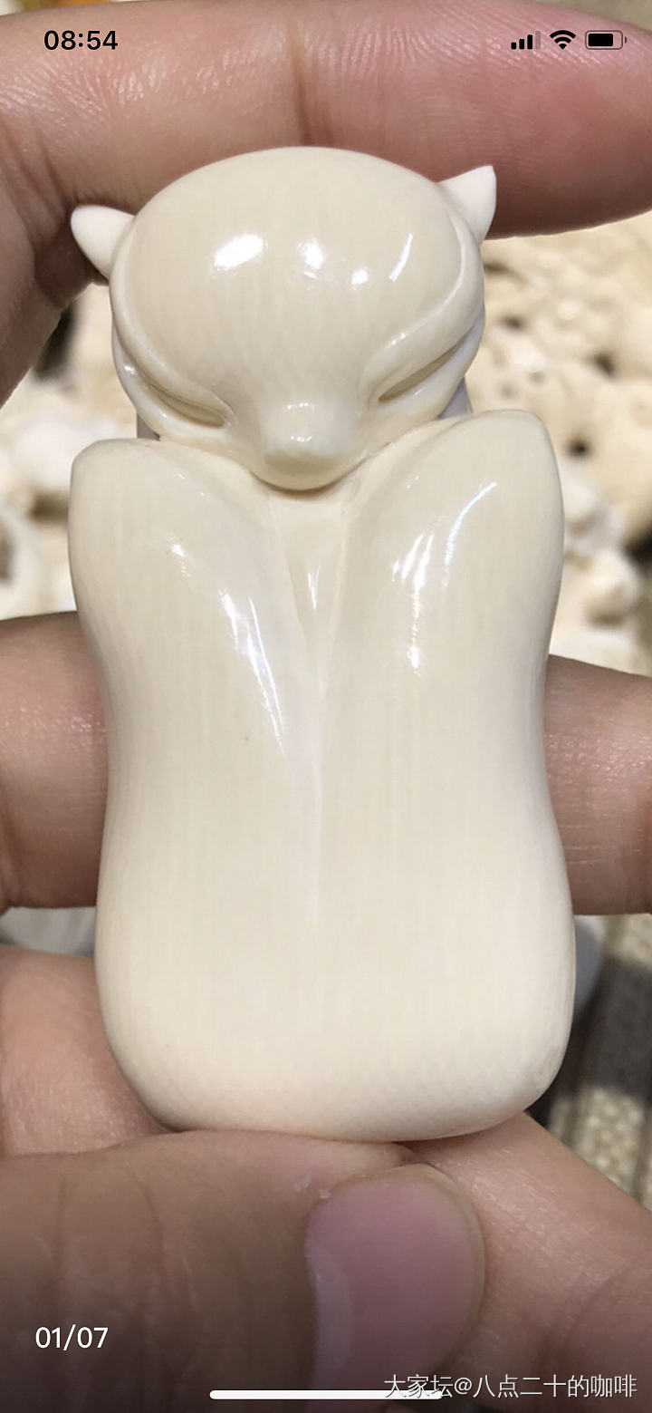 有集美会看猛犸吗？_牙骨角