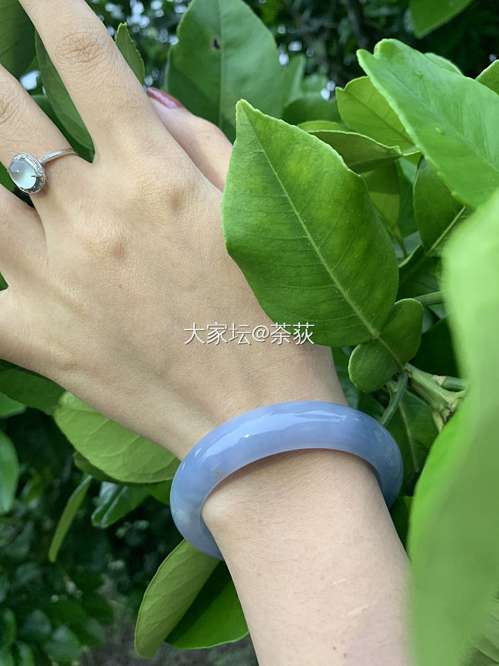 紫罗兰翡翠手镯