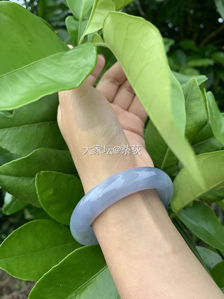 紫罗兰翡翠手镯