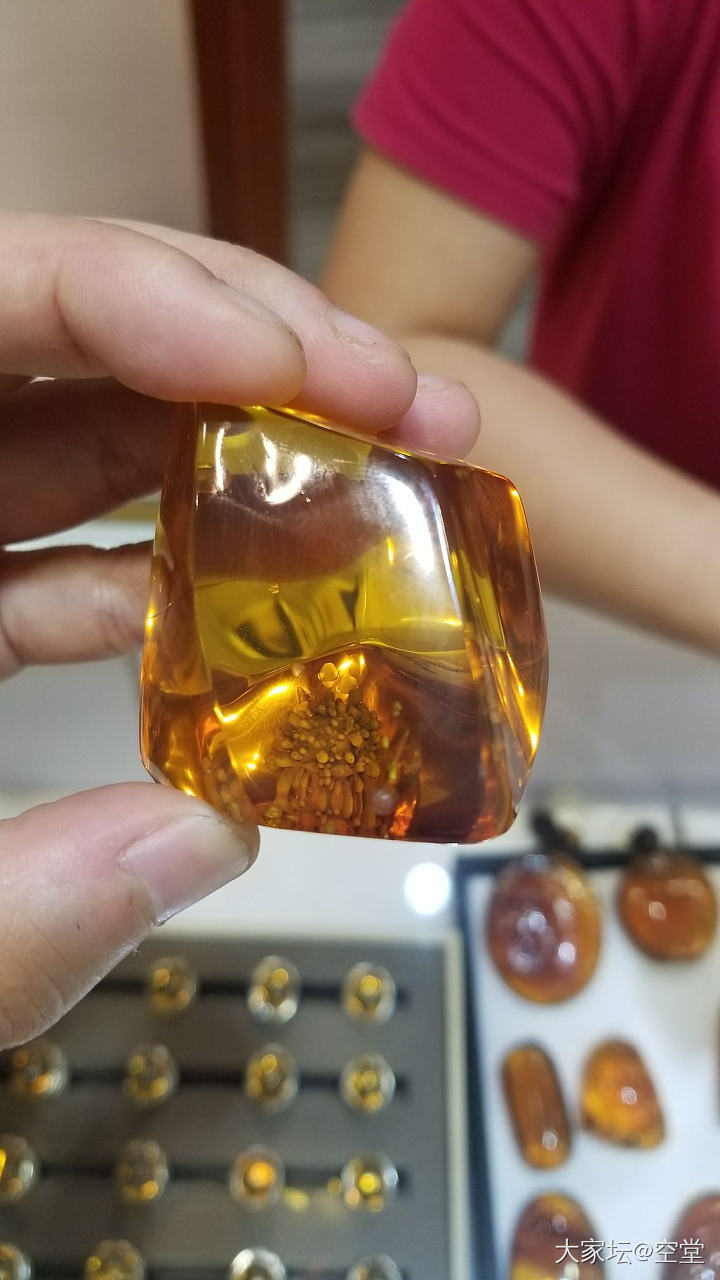 有大神知道琥珀中这种冠状包裹体是什么吗，稀有吗？_琥珀