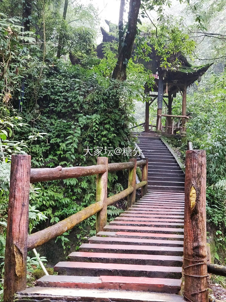 疫情前去成都的一次旅行(●°u°●)​ 

出发＋青城山后山篇

       ...