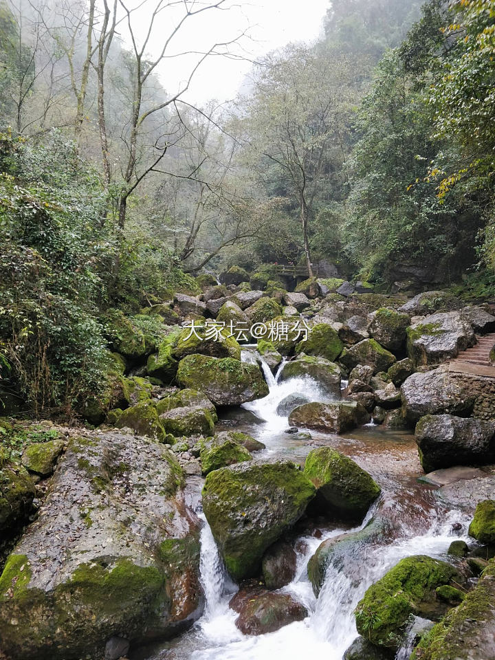 疫情前去成都的一次旅行(●°u°●)​ 

出发＋青城山后山篇

       ...