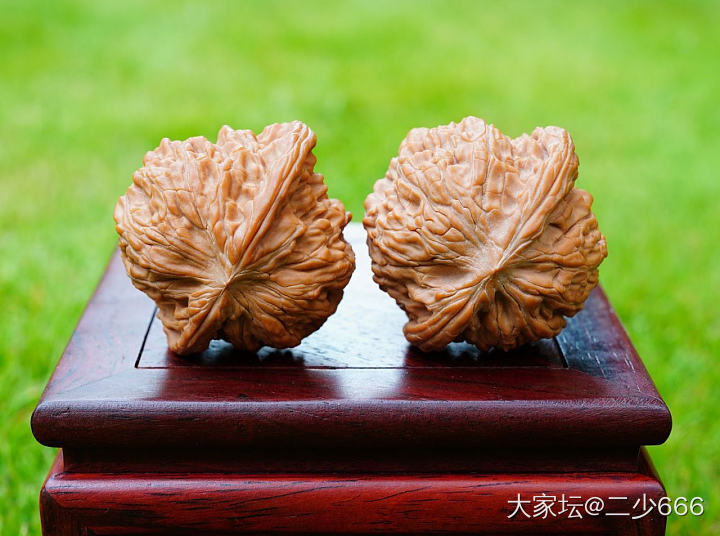刚到手的磨盘_核桃