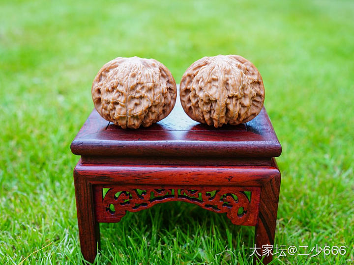 刚到手的磨盘_核桃