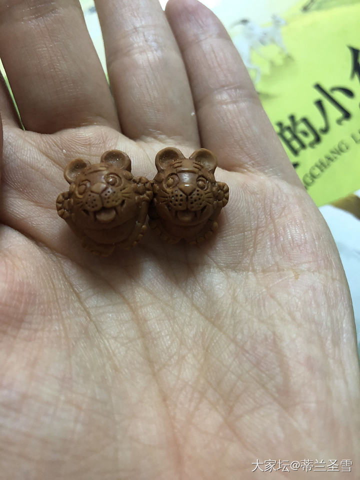 桃核小老虎🐯_核桃