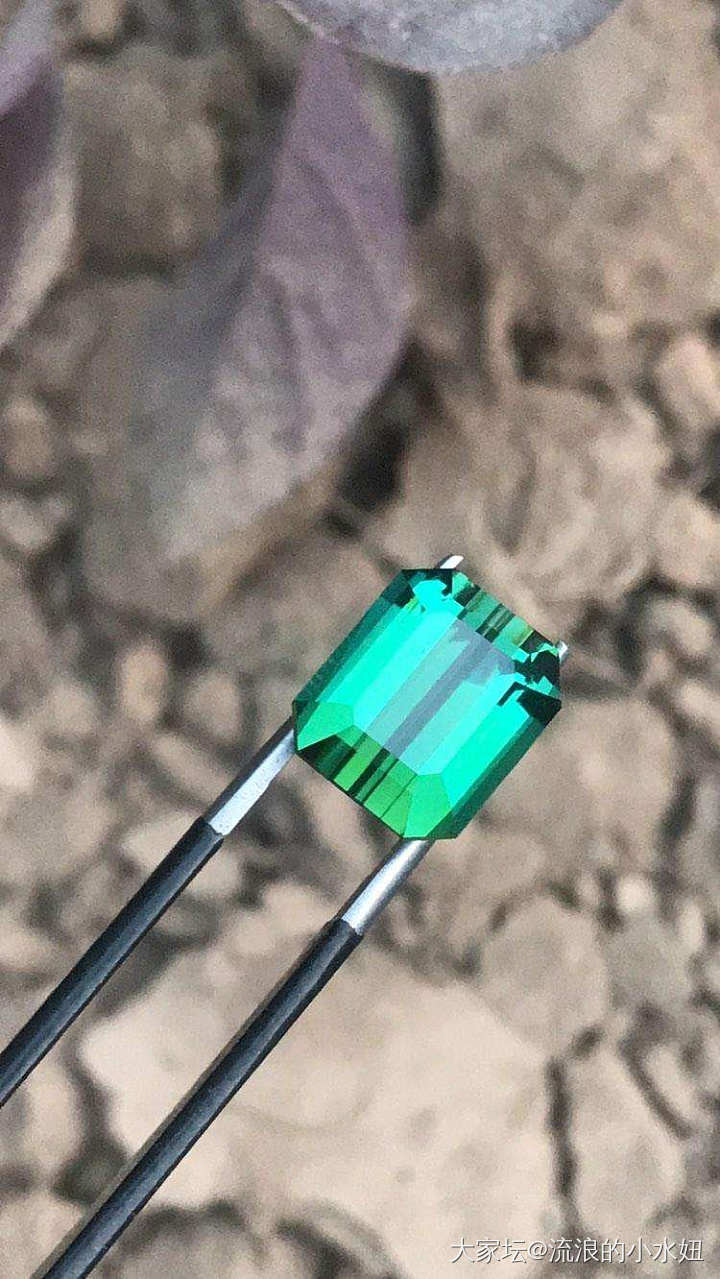 旧蓝绿要迎来新蓝绿了_祖母绿