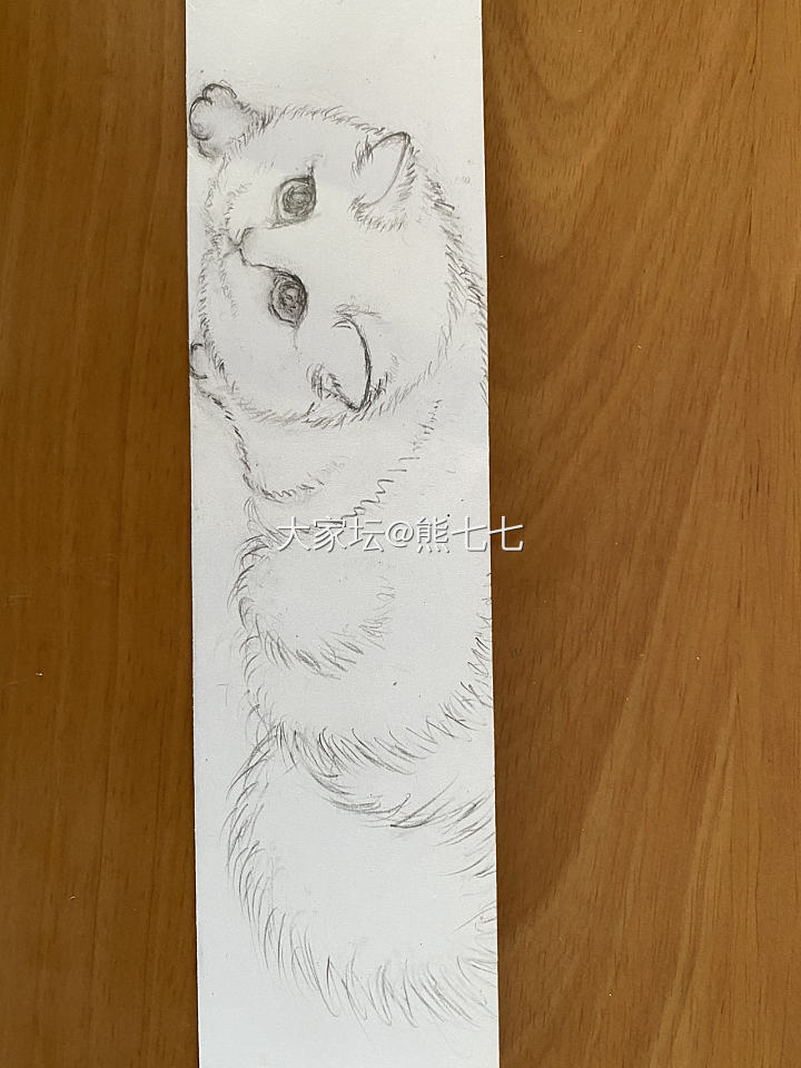 存图--猫蝶_手镯银