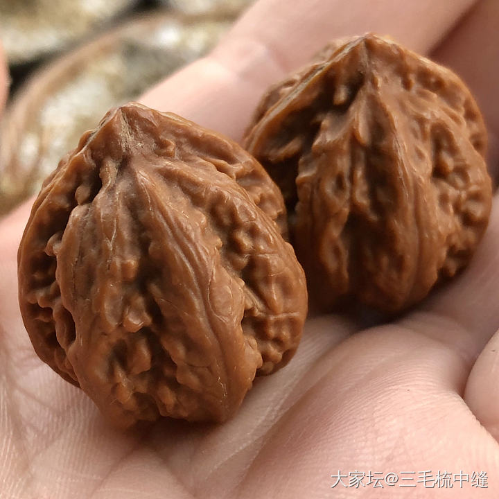 最近常玩的一对小手捻_核桃