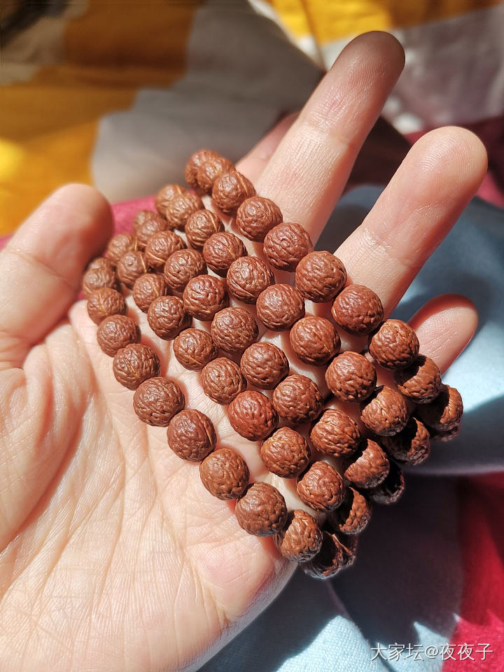 夏天当然是盘串串啦🤣  文玩菩提夏天最棒了_菩提子
