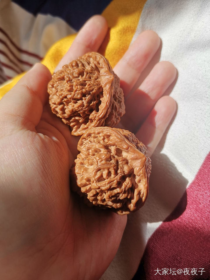 夏天当然是盘串串啦🤣  文玩菩提夏天最棒了_菩提子