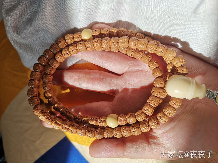 夏天当然是盘串串啦🤣  文玩菩提夏天最棒了_菩提子