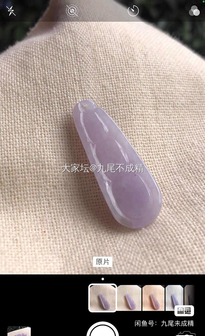 粉紫罗兰四季豆_翡翠