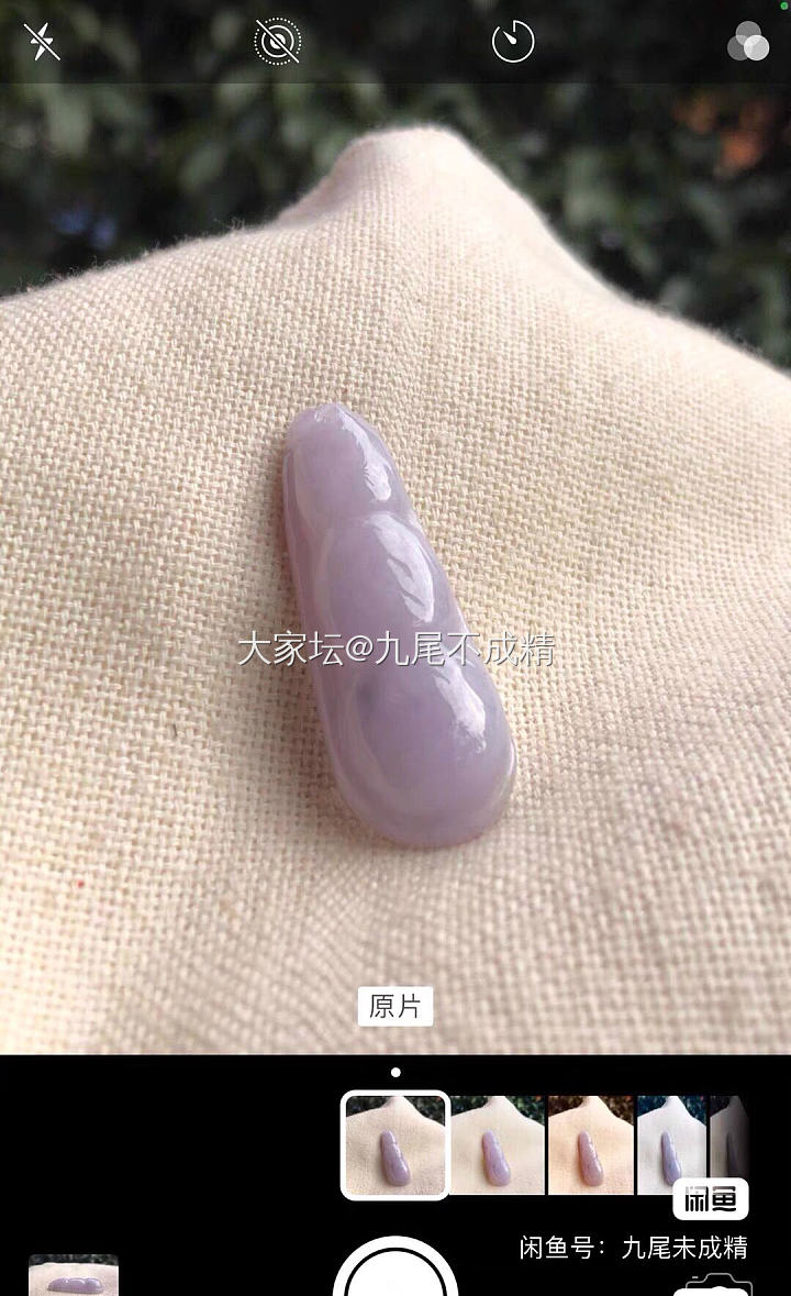 粉紫罗兰四季豆_翡翠