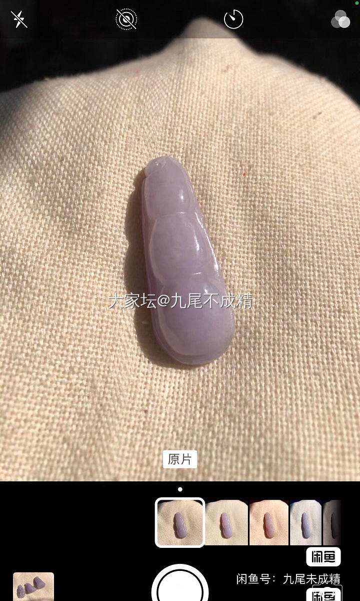 粉紫罗兰四季豆_翡翠