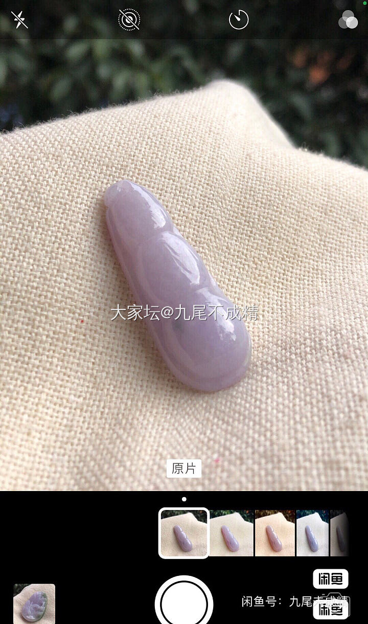 粉紫罗兰四季豆_翡翠