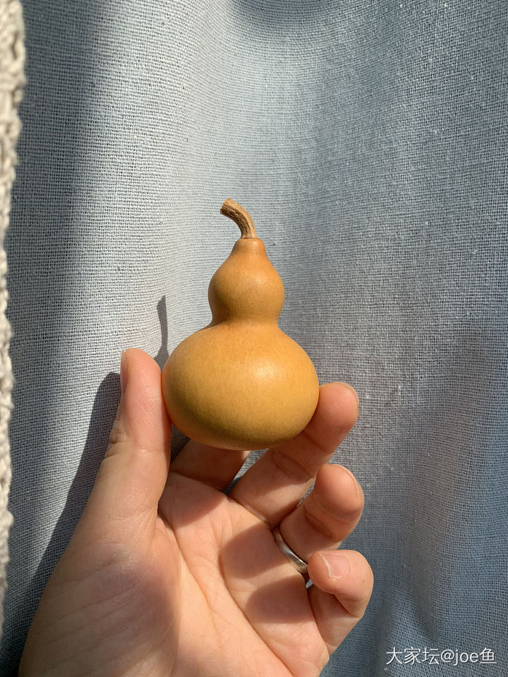 聊一聊文玩葫芦_葫芦文玩