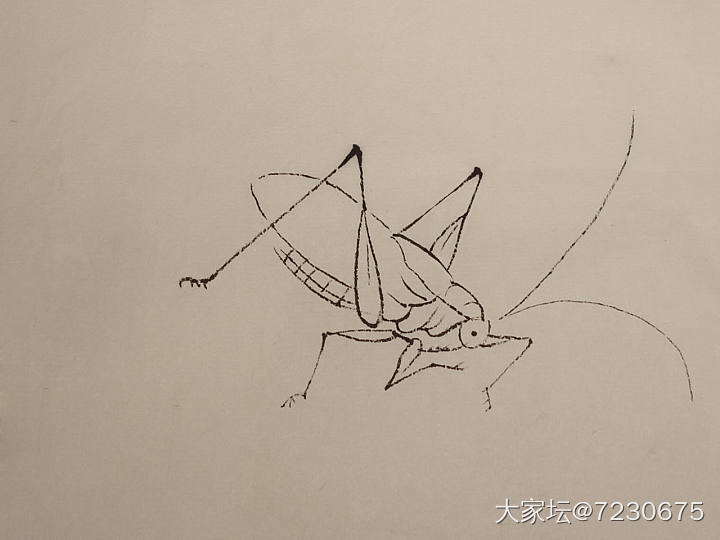 工笔画草虫_书画